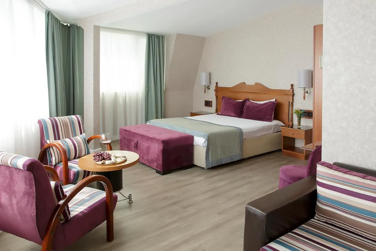 Vatan Asur Hotel Istanbul Turkey